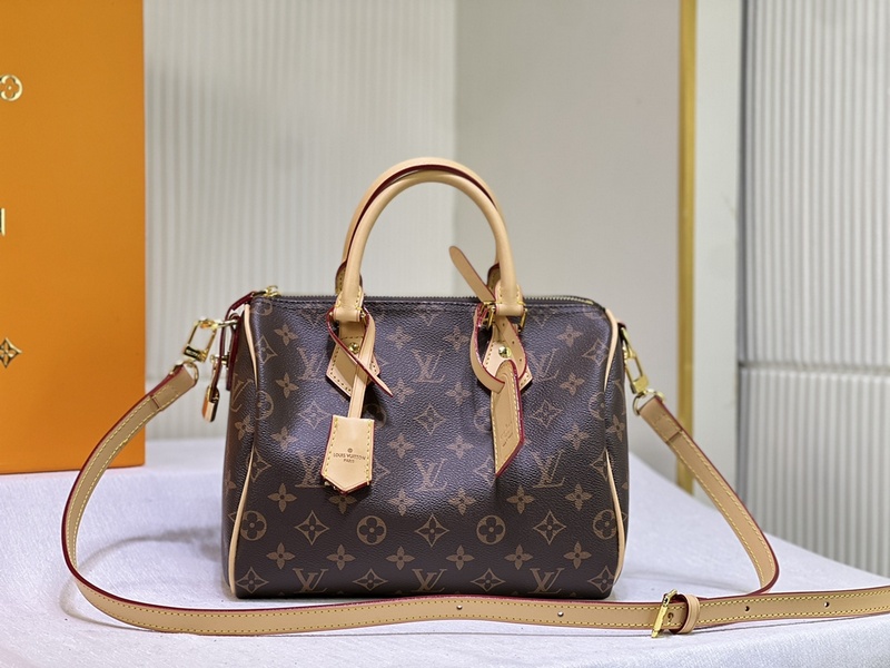 LV Handbags 219